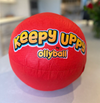 Replacement OLLYBALL for DSG