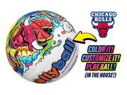 Chicago Bulls Ollyball NBA Team Edition | Ollyball x NBALAB